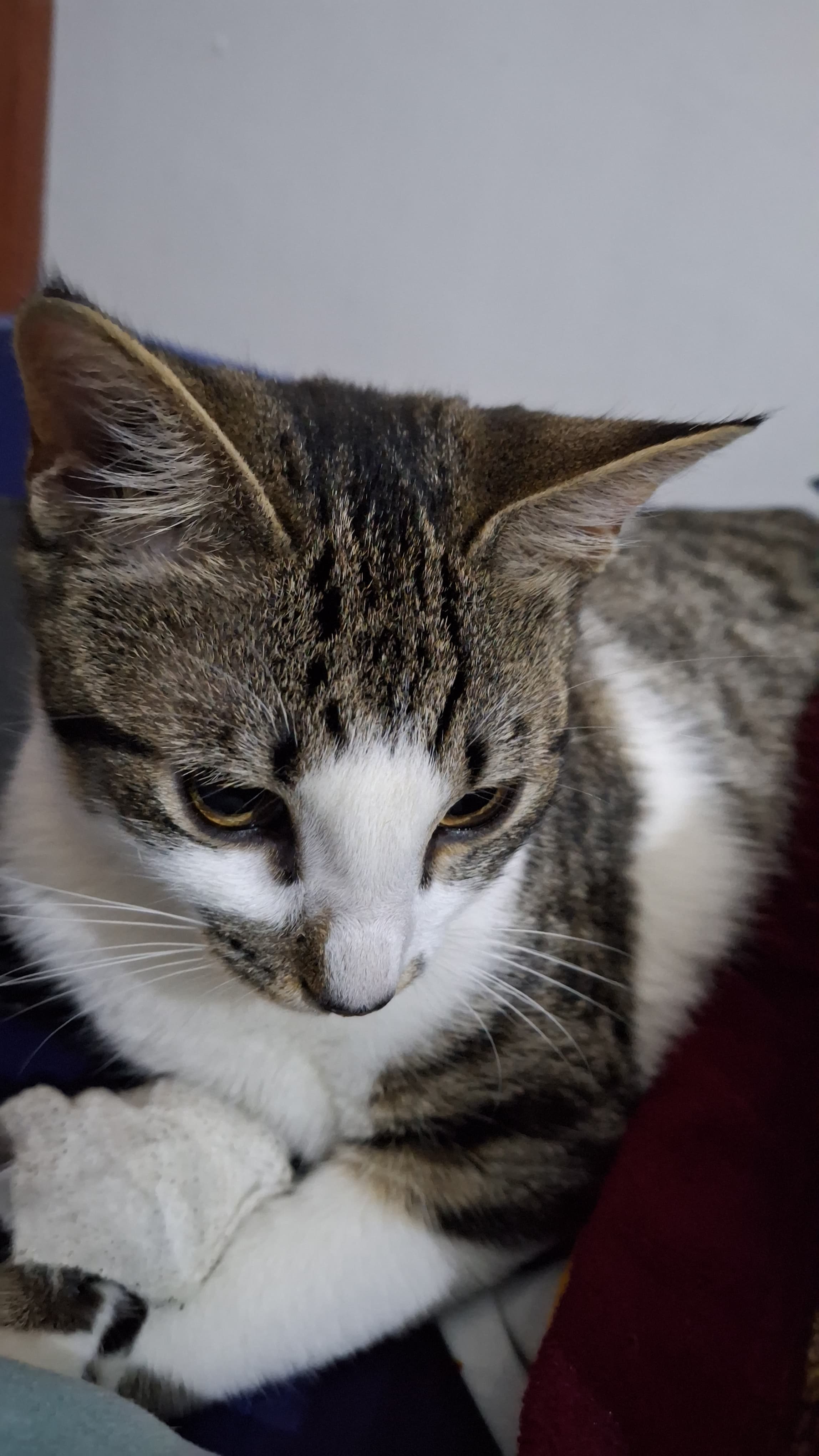 Clinic Waiting Area - 1