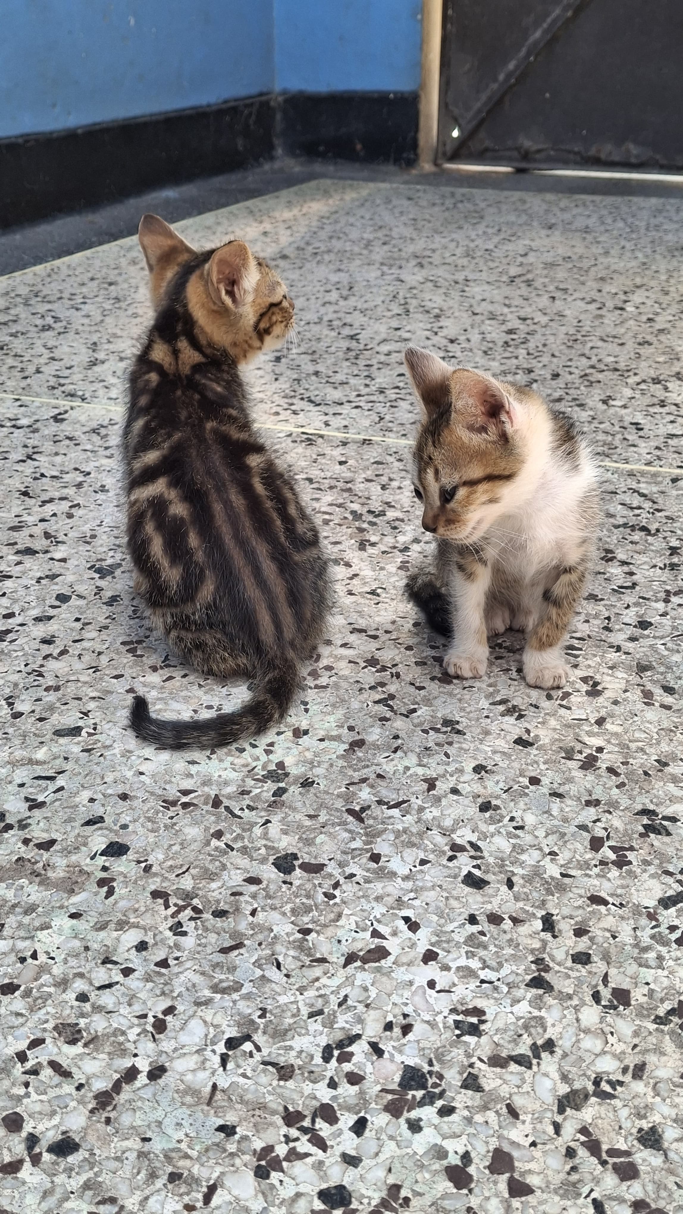 Clinic Waiting Area - 2